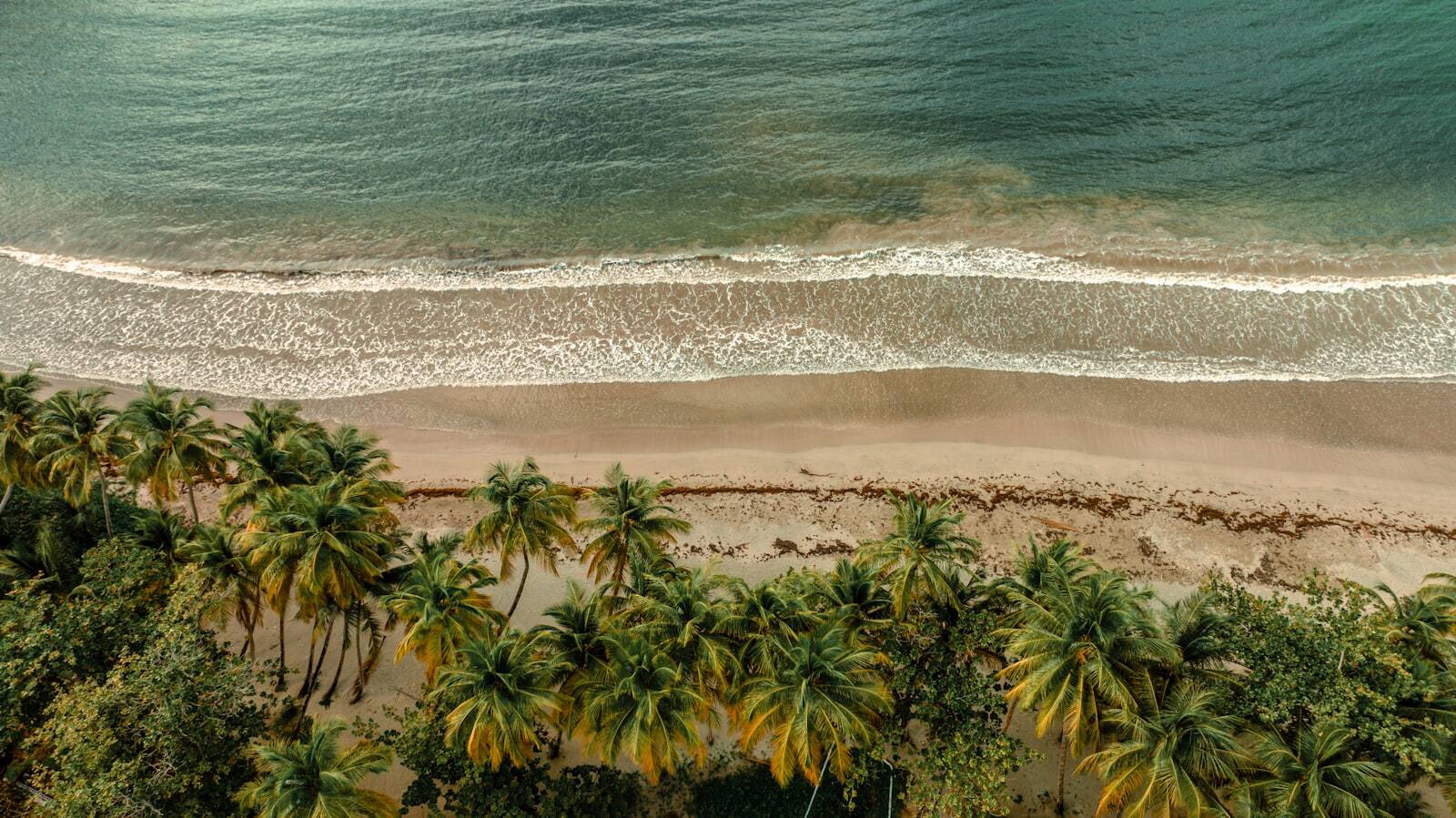 The beach